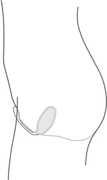 We-Vibe Jive 画像5