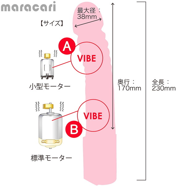 マラカリD ［スモーク］ 画像4