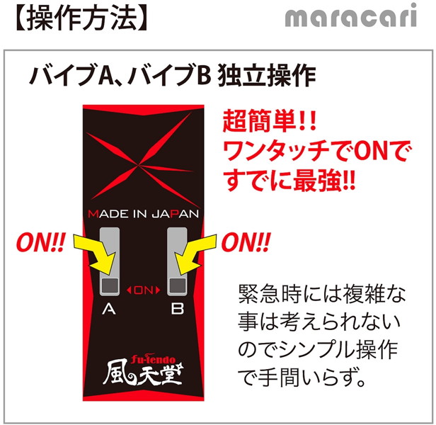 マラカリD ［スモーク］ 画像5