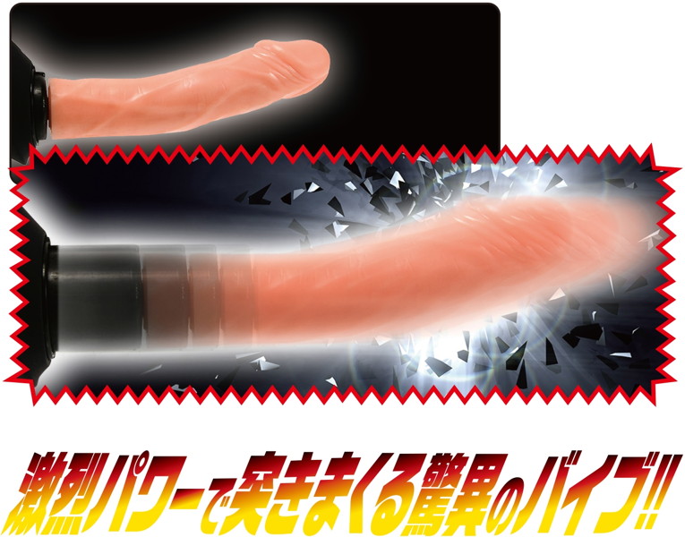 ハンディパートナー PLUS1 画像2