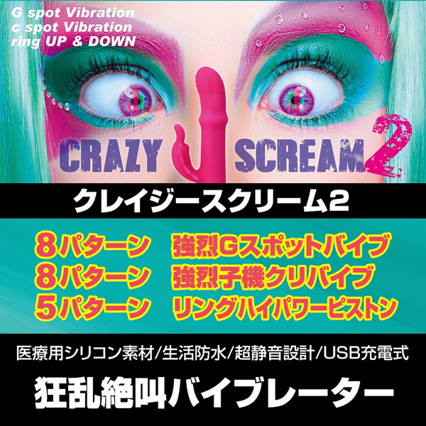 クレイジースクリーム2 画像3