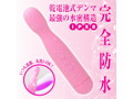 ピンクデンマ アクア 2020 画像2