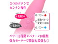 ピンクデンマ アクア 2020 画像4