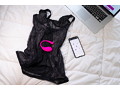 Lovense Lush3 画像1