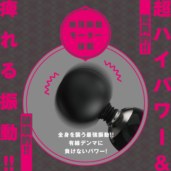 SATAN-DENMA 28 ［電魔王28］ 画像2