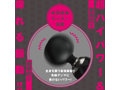 SATAN-DENMA 28 ［電魔王28］ 画像2