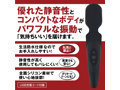 PleasureLab デンマ 画像1