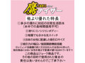 鷹ナイザー 画像3