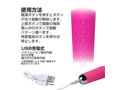 噂のデンマ ミニ ローズ 画像4