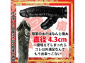 雄牛の猛り（おうしのたけり） 画像4