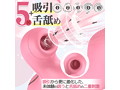 CHERLY PINK（LL-11） 画像5