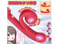 SNAIL（LL-004） 画像2