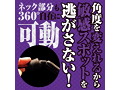 ブラックミニデンマ 画像3