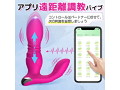KING＋ PINK（LL-8） 画像5