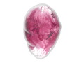 Satisfyer Cloud Dancer Red 画像4