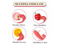 MELO Dildo Vibrators Silver Red（L1364-0） 画像6