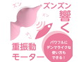ピンデンミニ ピンク（p-253） 画像3