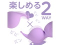 ピンデンミニ パープル（p-254） 画像1