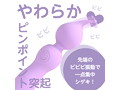 ピンデンミニ パープル（p-254） 画像2