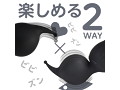 ピンデンミニ ブラック（p-255） 画像1