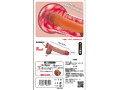 【 極筋 NICE DICK 】-温感機能付き（KK-102） 画像2