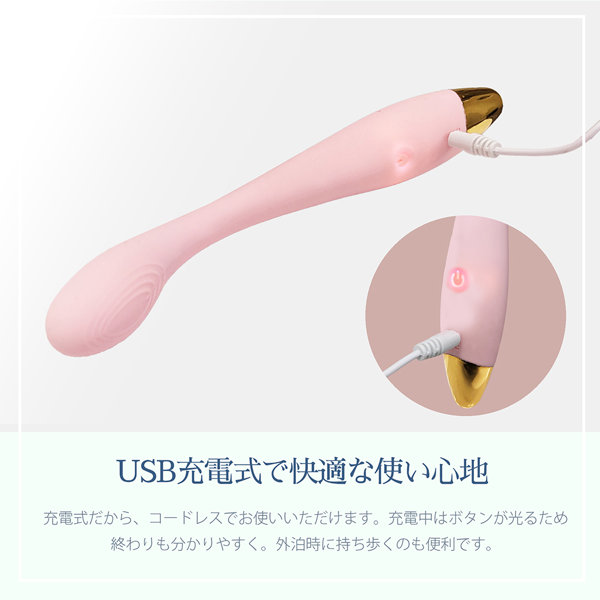 ファンタスティックソフト（TLV003） 画像5