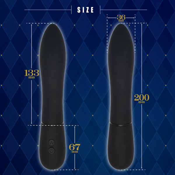 リニアピストンバイブ 画像3