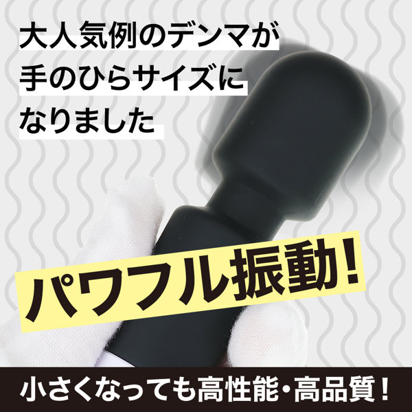 例のデンマポケット ブラック（p-372） 画像1