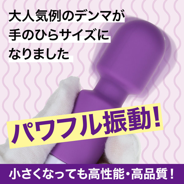 例のデンマポケット パープル（p-373） 画像1