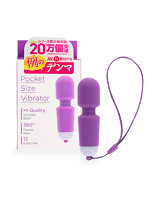 例のデンマポケット パープル（p-373）