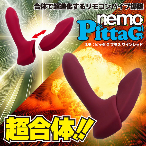 nemo:PittaG+ WINE RED 画像5