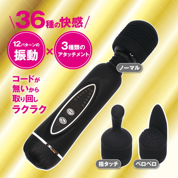 3WAY ハンディデンマ 画像1