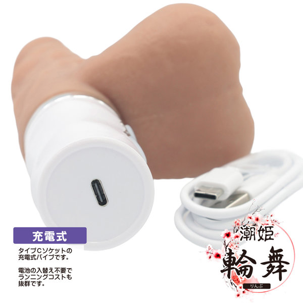 潮姫・輪舞(りんぶ)(CB-1D) 画像2