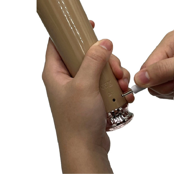 ピクシーゴージャスデンマ（11007） 画像3