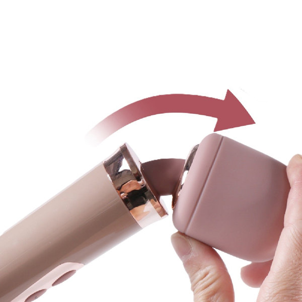 ピクシーゴージャスデンマ（11007） 画像4