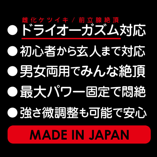 日本製のア●ルバイブ 画像4