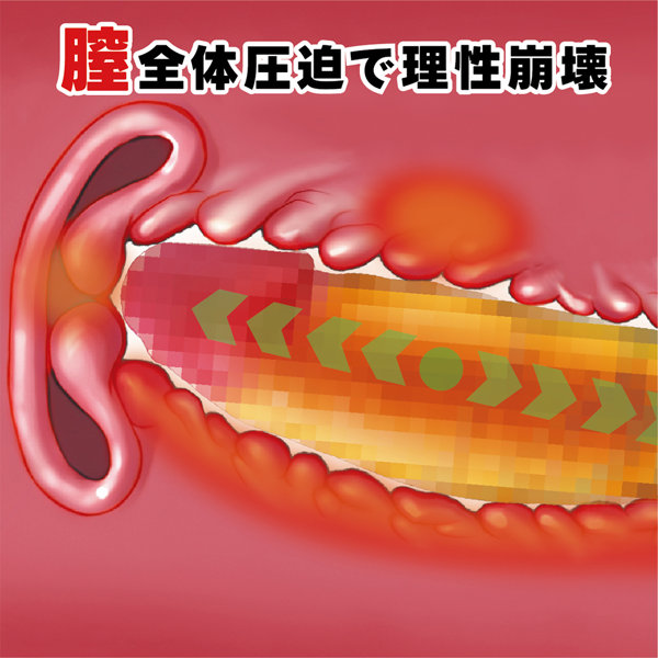 【KING DICK 黄金色】リモコンディルドバイブ(KK-106) 画像4