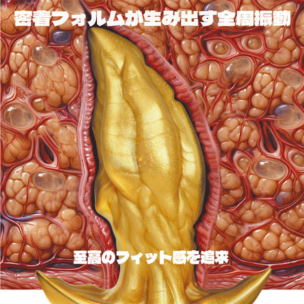【GOLD PLUG ア●ル覚醒振動 】S サイズ（PAS-101） 画像3