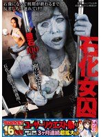 パッケージ写真