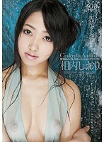 RSDCA024