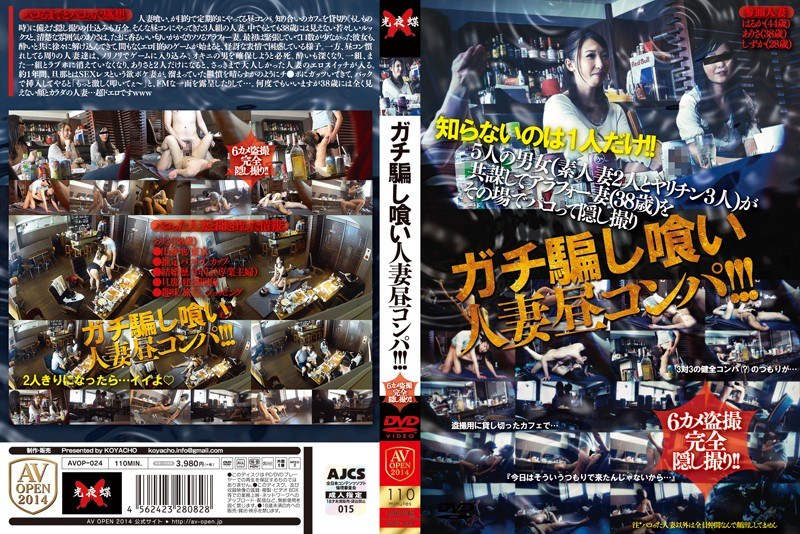 2AVOP024