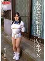 2STD023