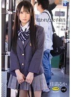 5IPT979