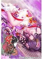 贄姫-戦国姦落絵巻- （DVDPG）