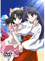 SHINY DAYS DVD-PG(DVDPG)のサムネイル画像