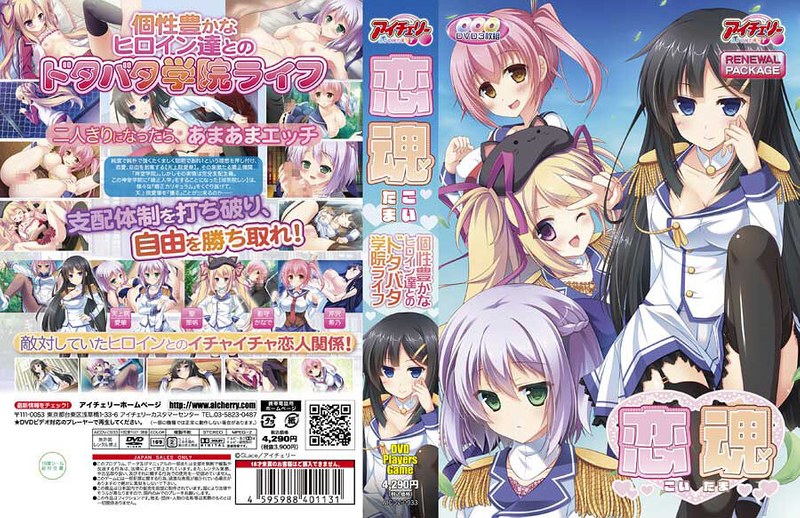 恋魂 リニューアルパッケージ版（DVD-PG）