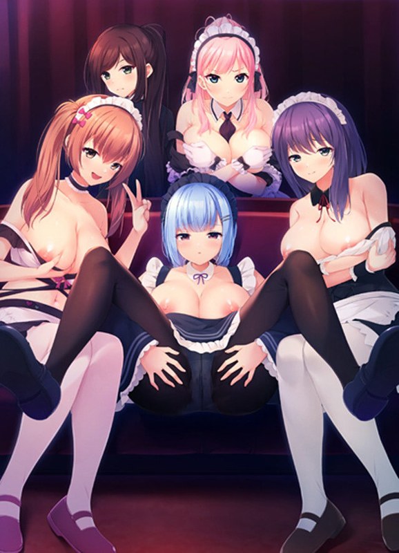 俺だけに傅く孕メイドたち（DVD-PG版）