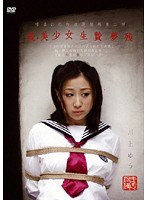占位图