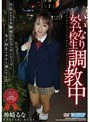 いいなり女子校生調教中 神崎るな