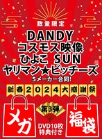 【数量限定★メガ福袋】DANDY×コスモス映像×ひよこ×SUN×ヤリマン★ビッチーズ 5メーカー合同！新春2024大感謝祭【DVD10枚/特典付き】